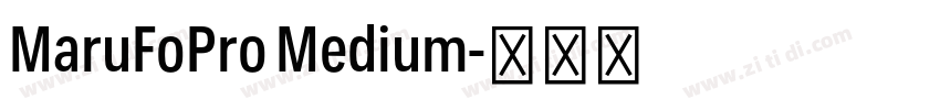 MaruFoPro Medium字体转换